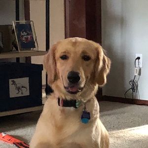 Meet your Posher, Jill